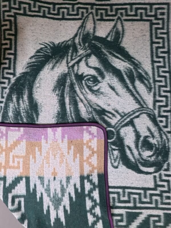 IMG_20250914_165422_069.jpg Chinantla Caballo